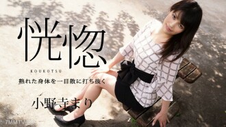 item.video_no