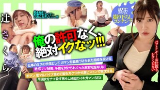 item.video_no