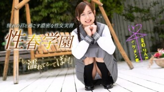 item.video_no