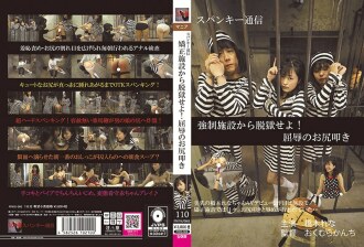 item.video_no