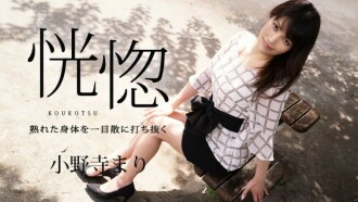 item.video_no